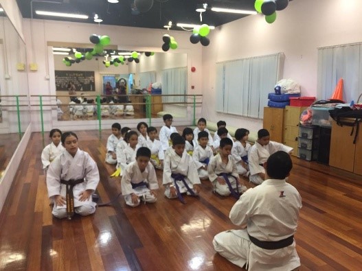 1-Month Online Karate Class