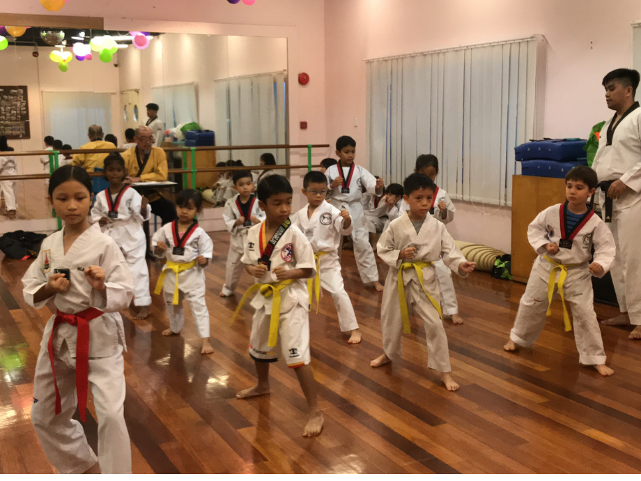 1-Month Taekwondo Class