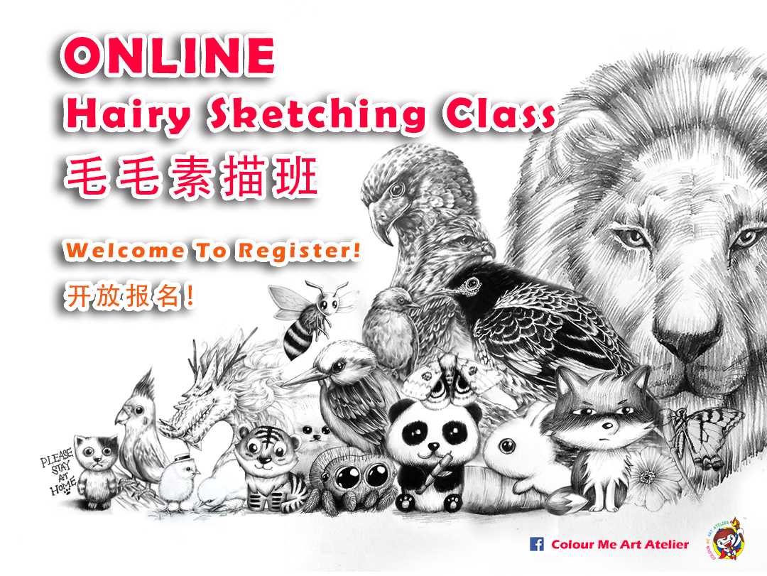 Online Hairy Sketching Class
