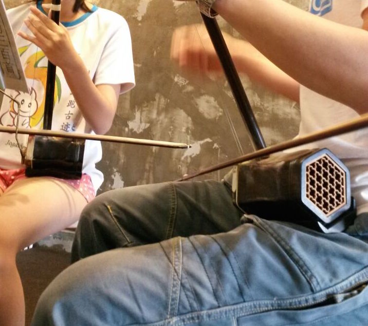 1-Month 1 to 1 Erhu Music Lesson