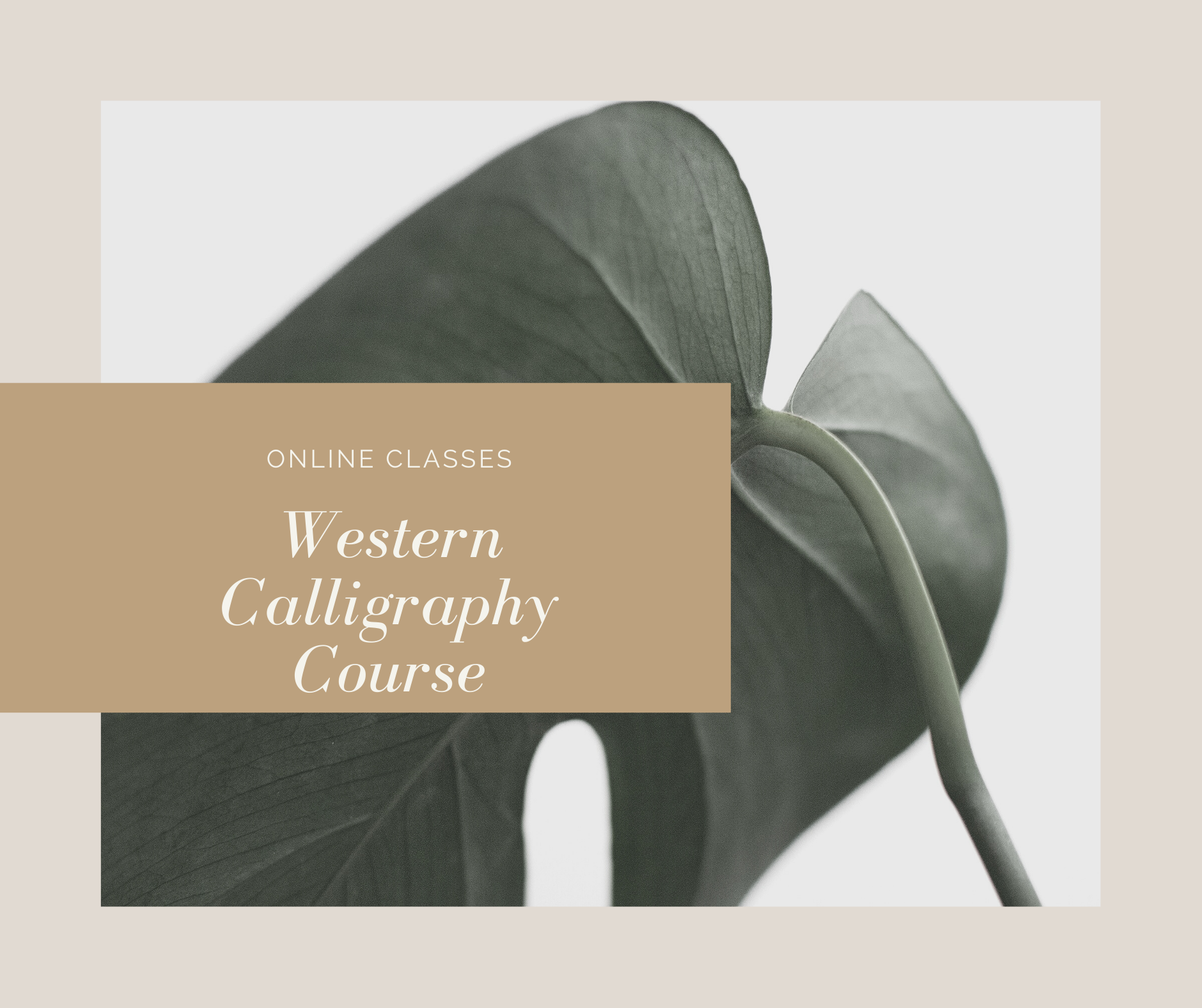 Western Calligraphy Online Course