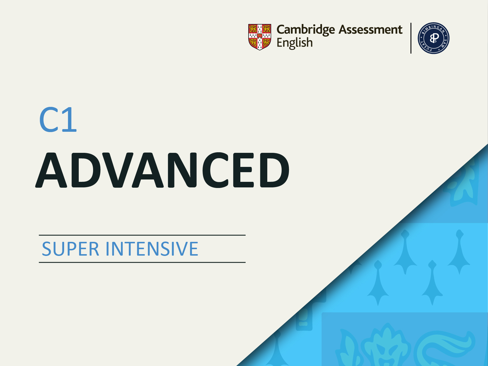 Cambridge English | C1 Advanced - 12 weeks