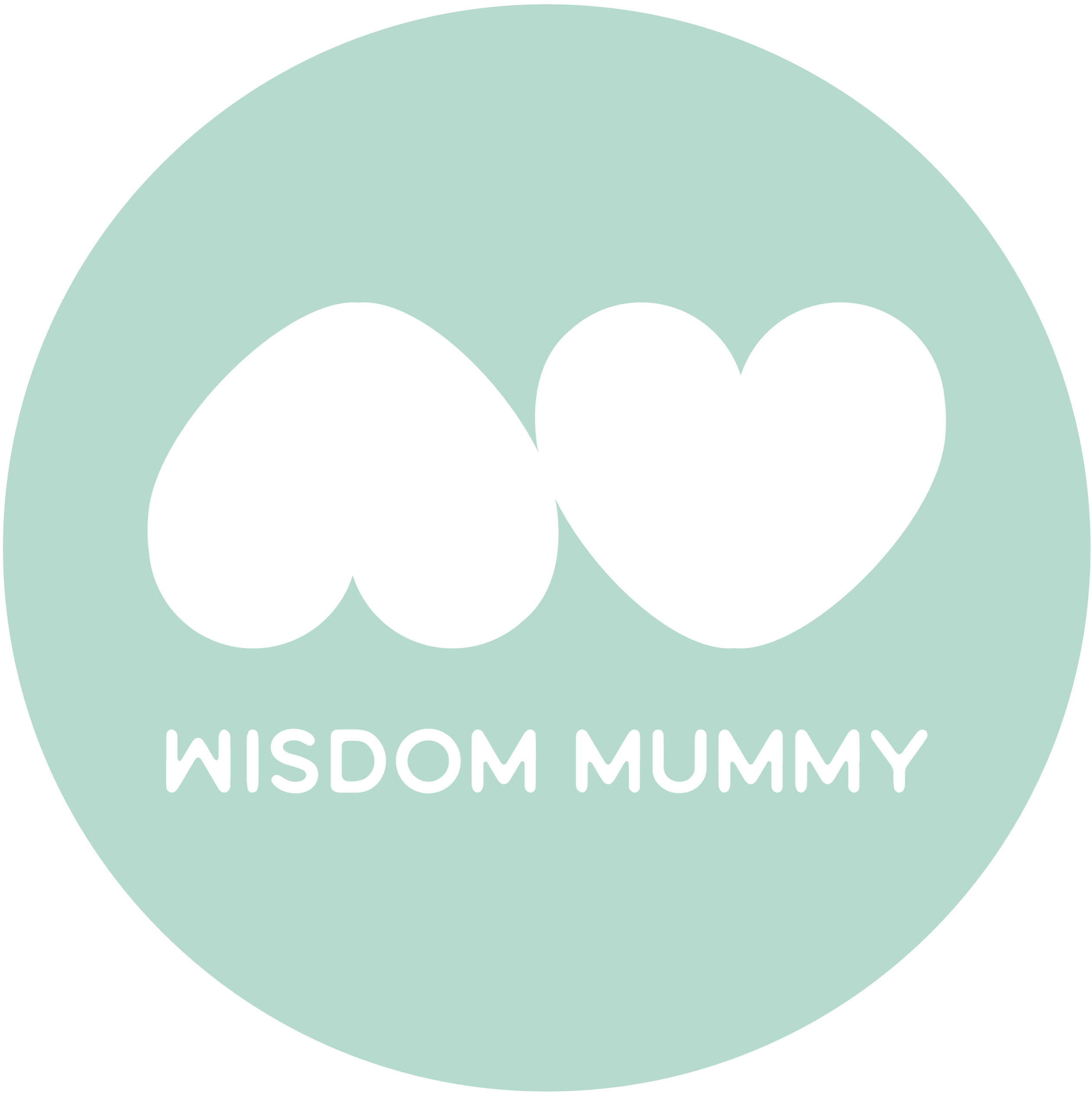 Wisdom Mummy